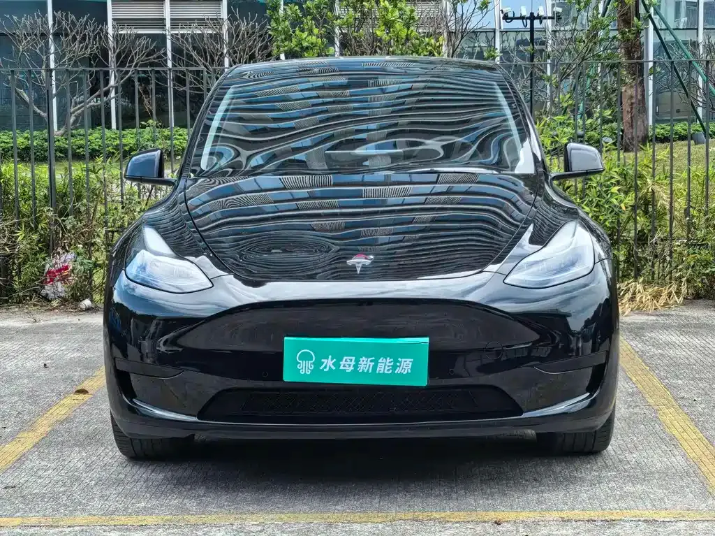 Tesla Model Y 2023 из CN, фото 4