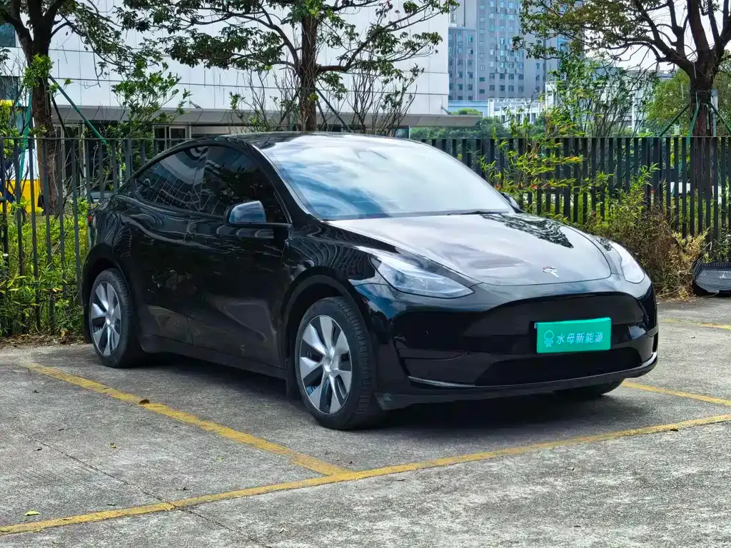 Tesla Model Y 2023 из CN, фото 7