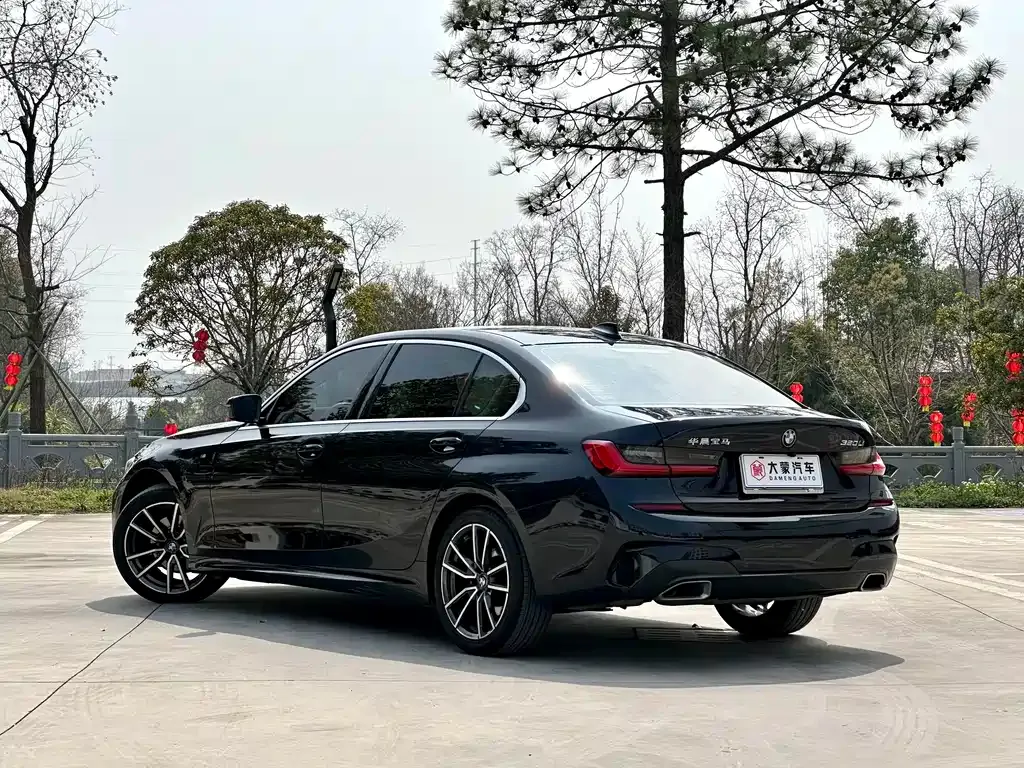 BMW 3 Series 2021 из CN, фото 6