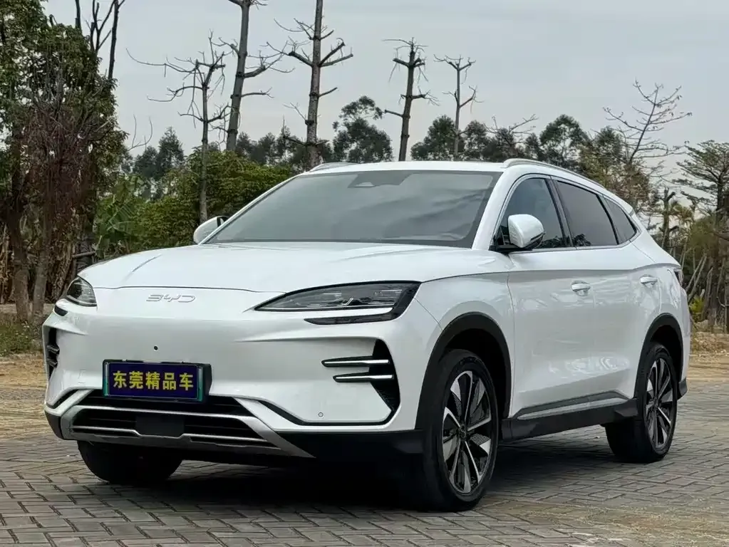 BYD PLUS New Energy 2024 из CN, фото 1