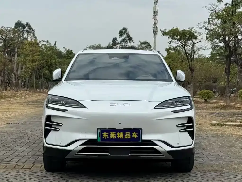 BYD PLUS New Energy 2024 из CN, фото 5