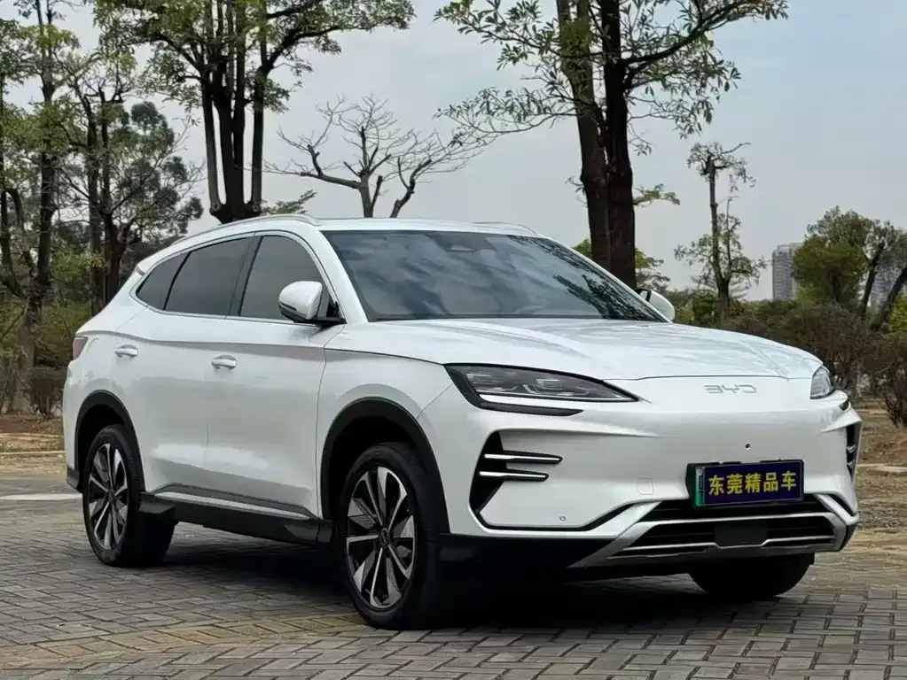 BYD PLUS New Energy 2024 из CN, фото 3
