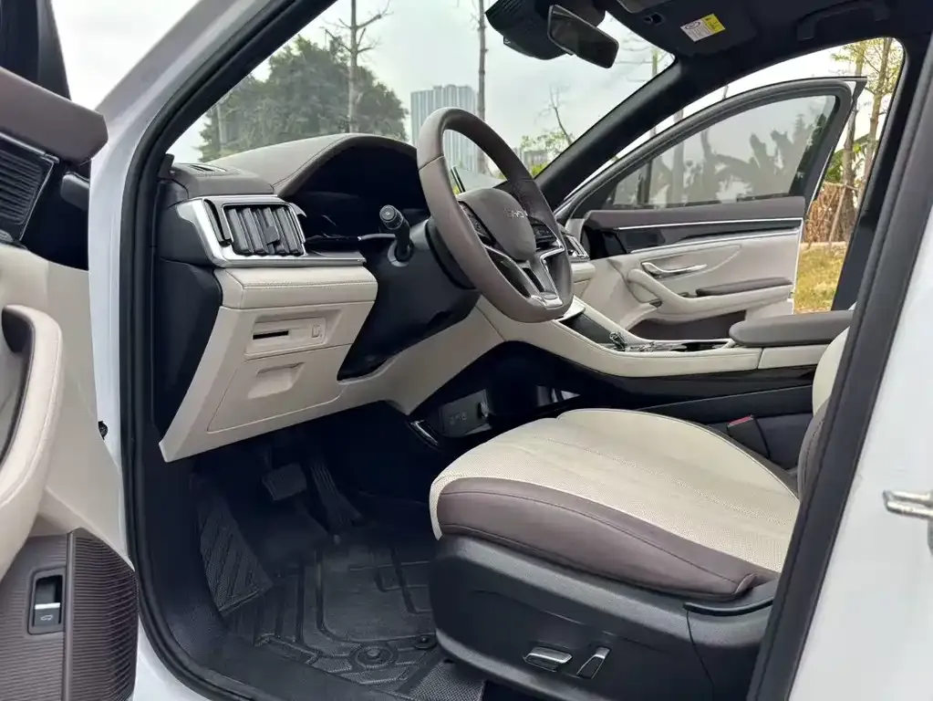 BYD PLUS New Energy 2024 из CN, фото 2