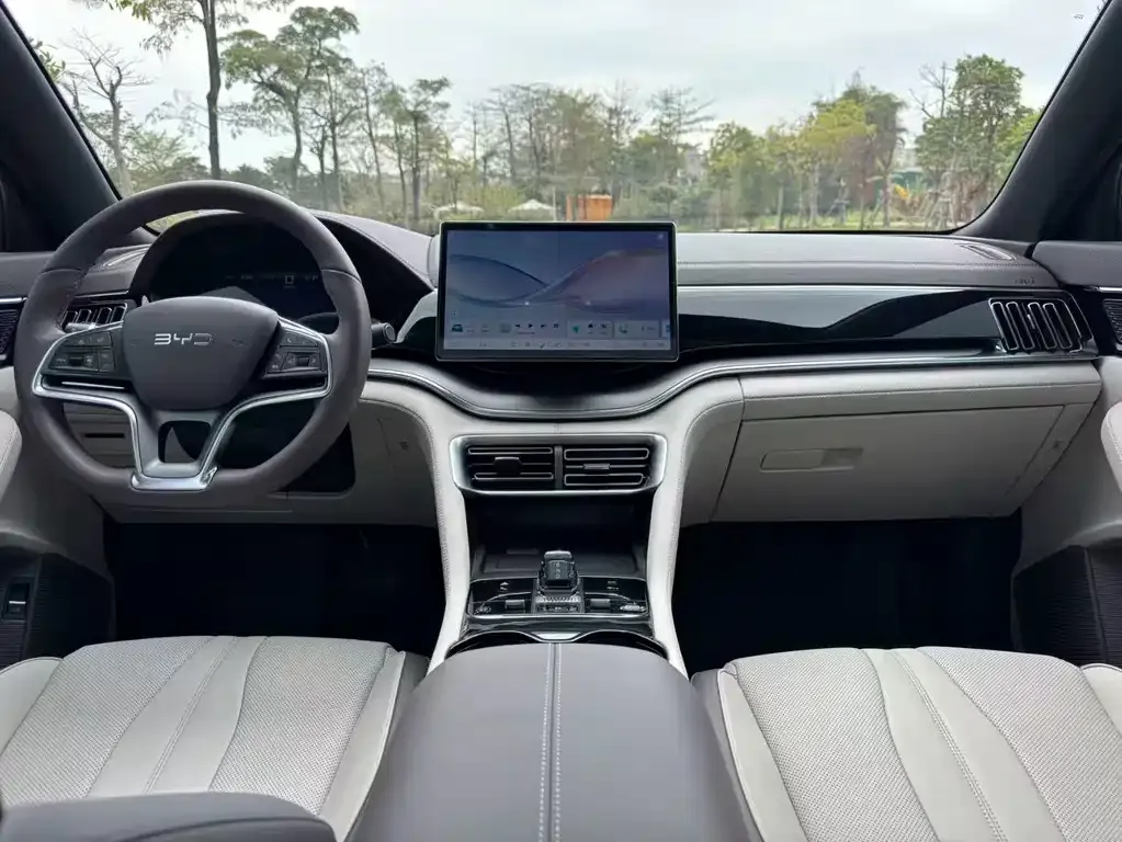 BYD PLUS New Energy 2024 из CN, фото 4