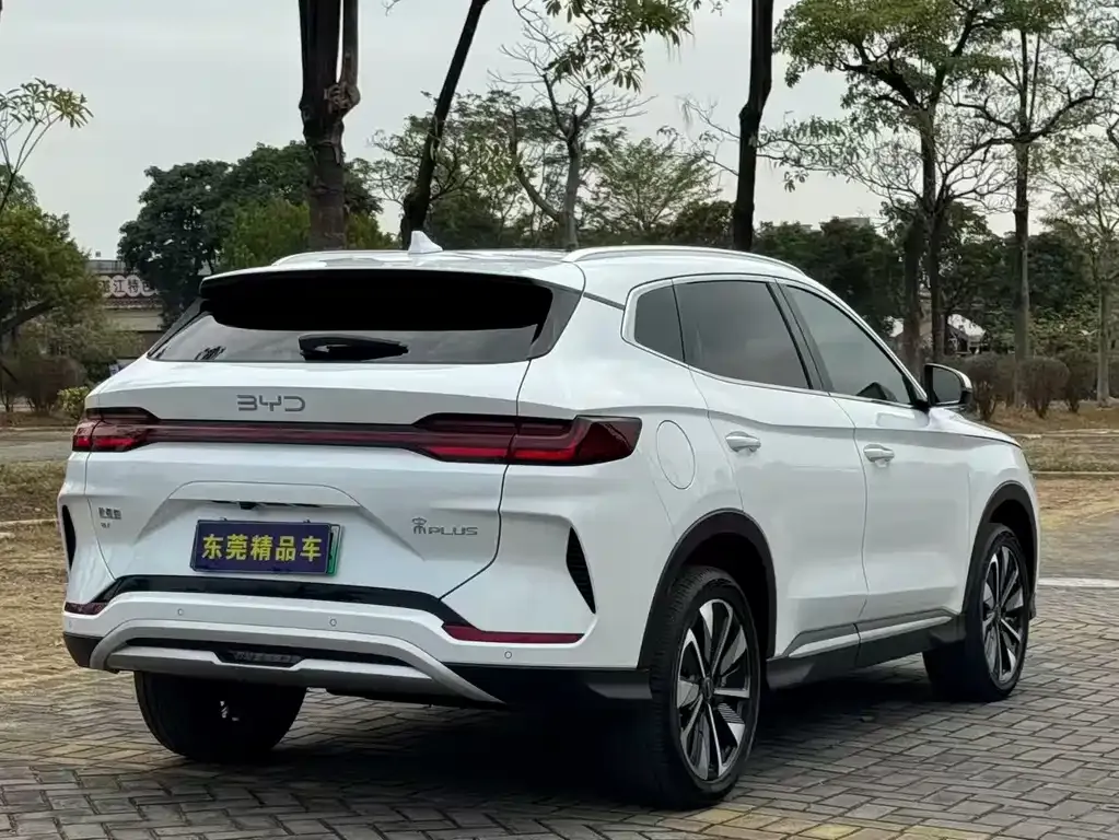 BYD PLUS New Energy 2024 из CN, фото 6