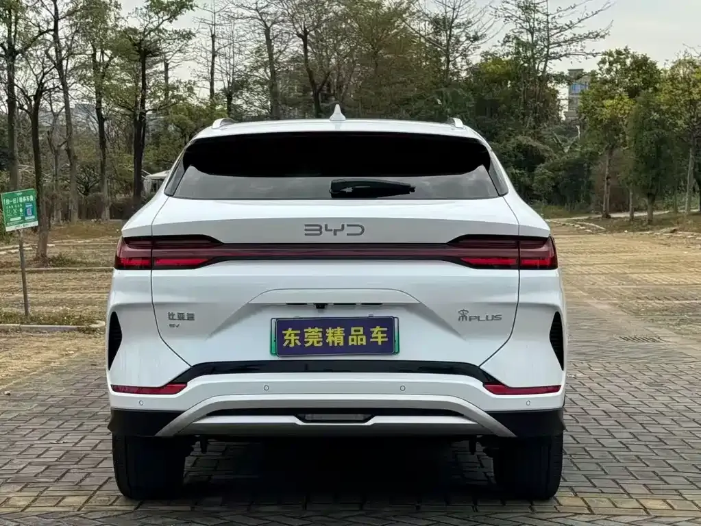 BYD PLUS New Energy 2024 из CN, фото 7