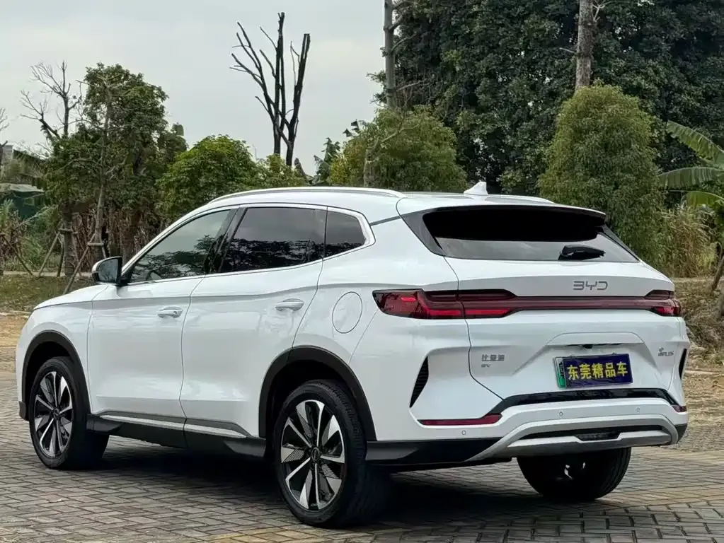 BYD PLUS New Energy 2024 из CN, фото 9