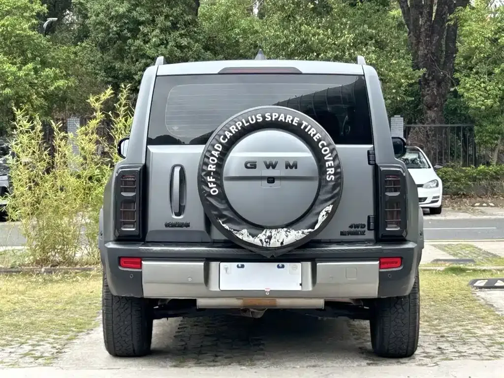 Haval Raptor 2025 из CN, фото 7