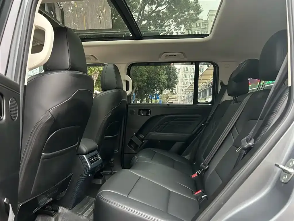 Haval Raptor 2025 из CN, фото 3