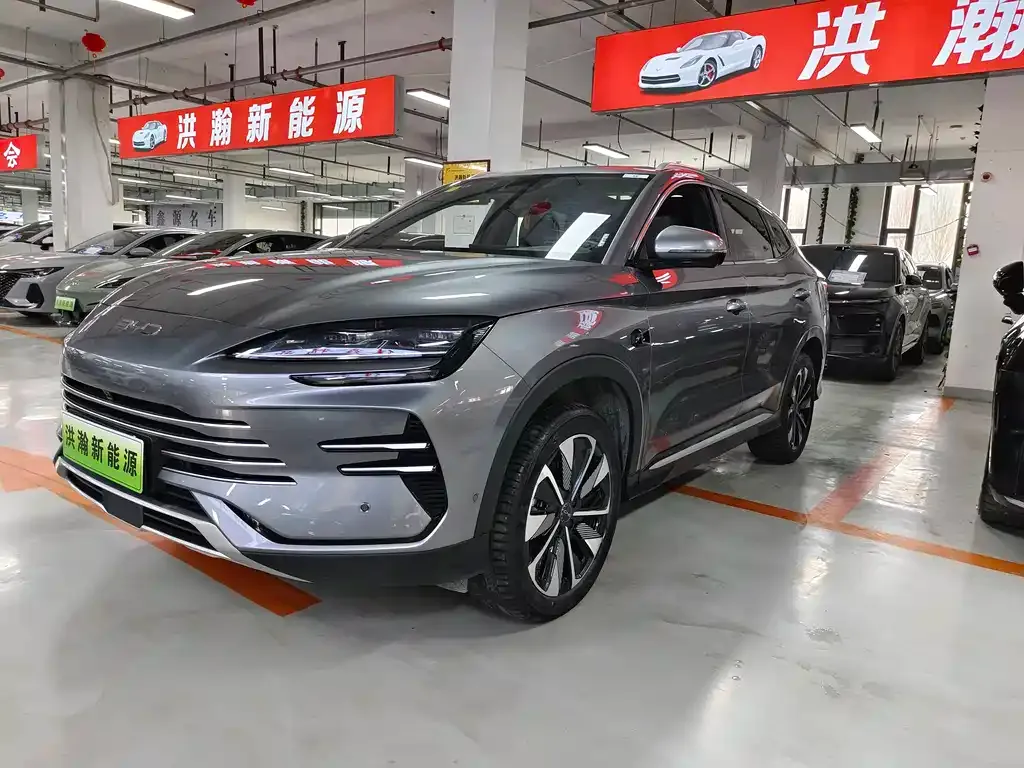 BYD PLUS New Energy — фото 1