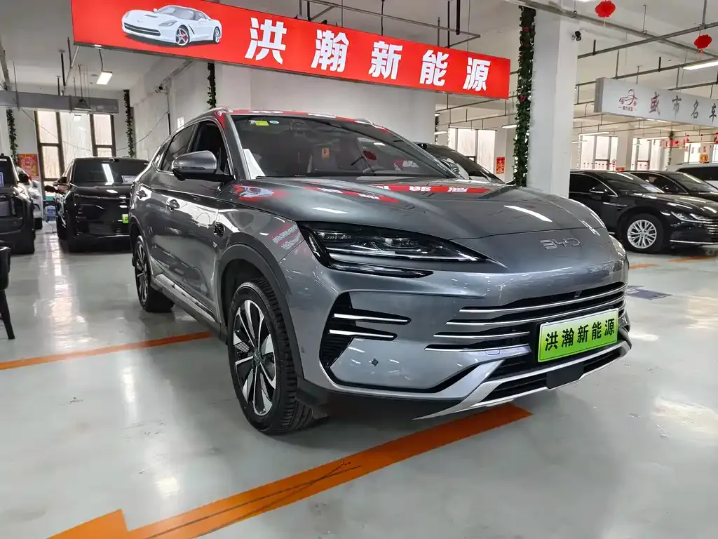 BYD PLUS New Energy — фото 9