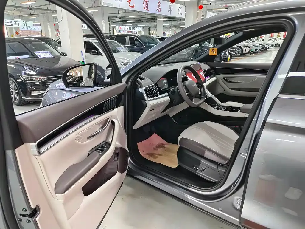 BYD PLUS New Energy — фото 6