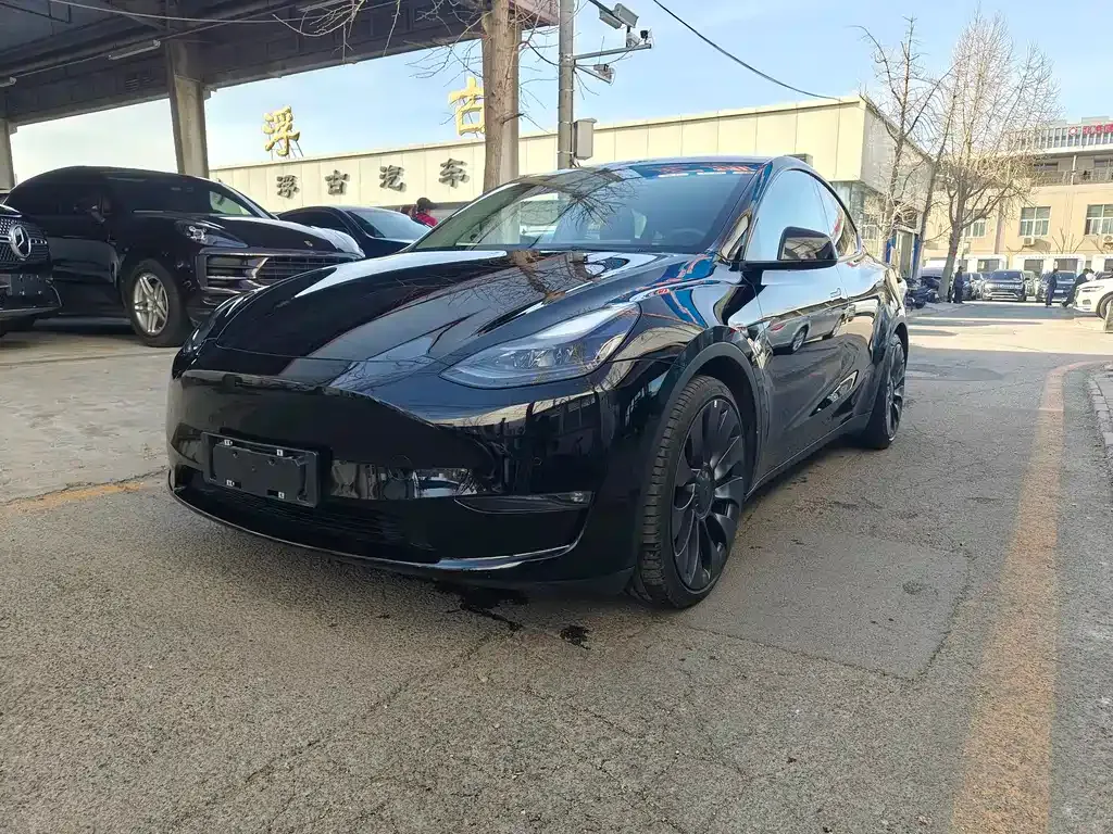 Tesla Model Y — фото 1