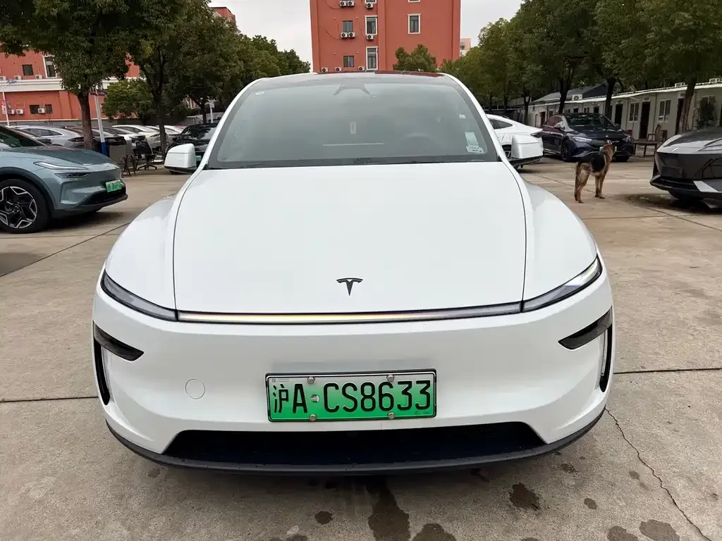 Tesla Model Y L — фото 1