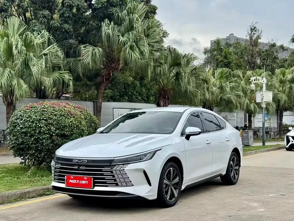 BYD Destroyer 05 2023 из CN, фото 1