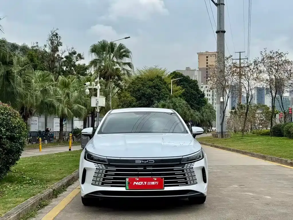 BYD Destroyer 05 2023 из CN, фото 7