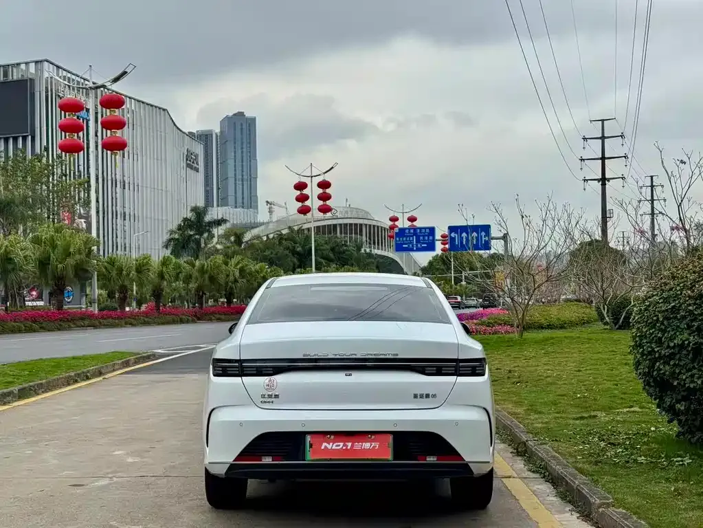BYD Destroyer 05 2023 из CN, фото 5
