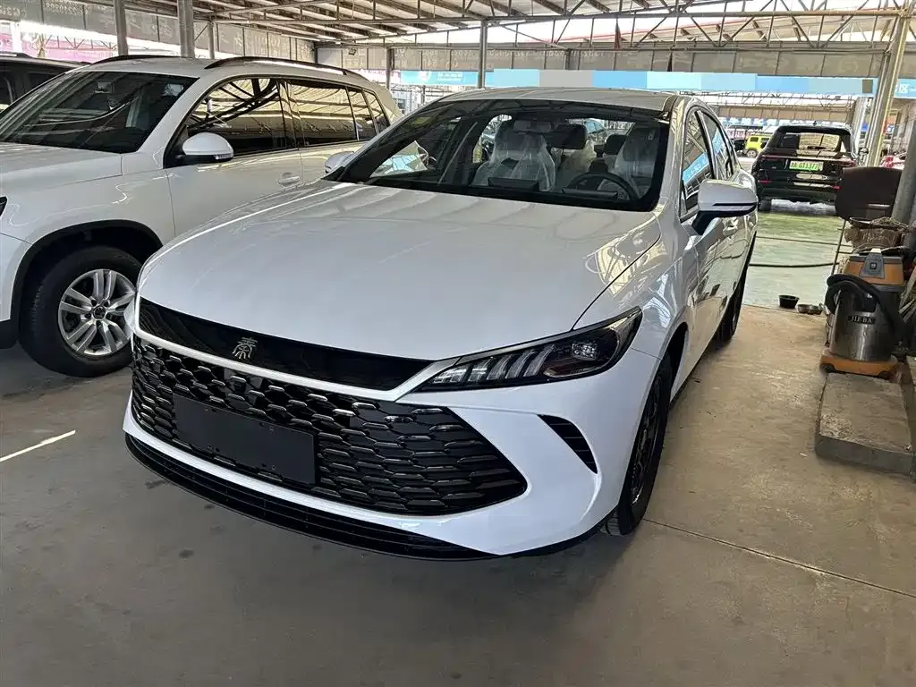 BYD Qin PLUS — фото 1