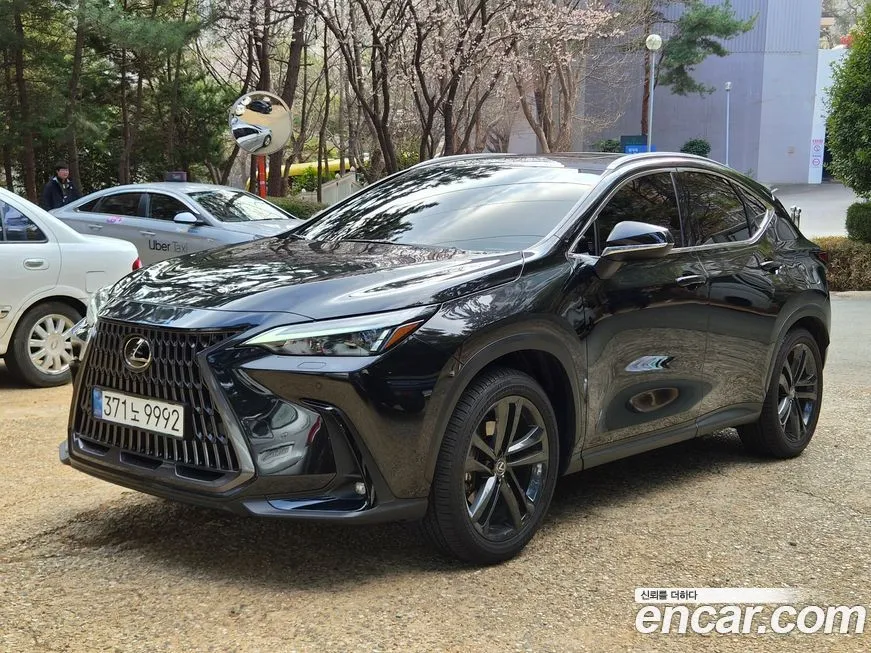 Lexus NX 2025 из KR, фото 1