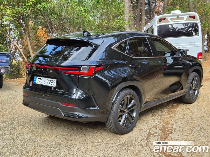 Lexus NX 2025 из KR, фото 8