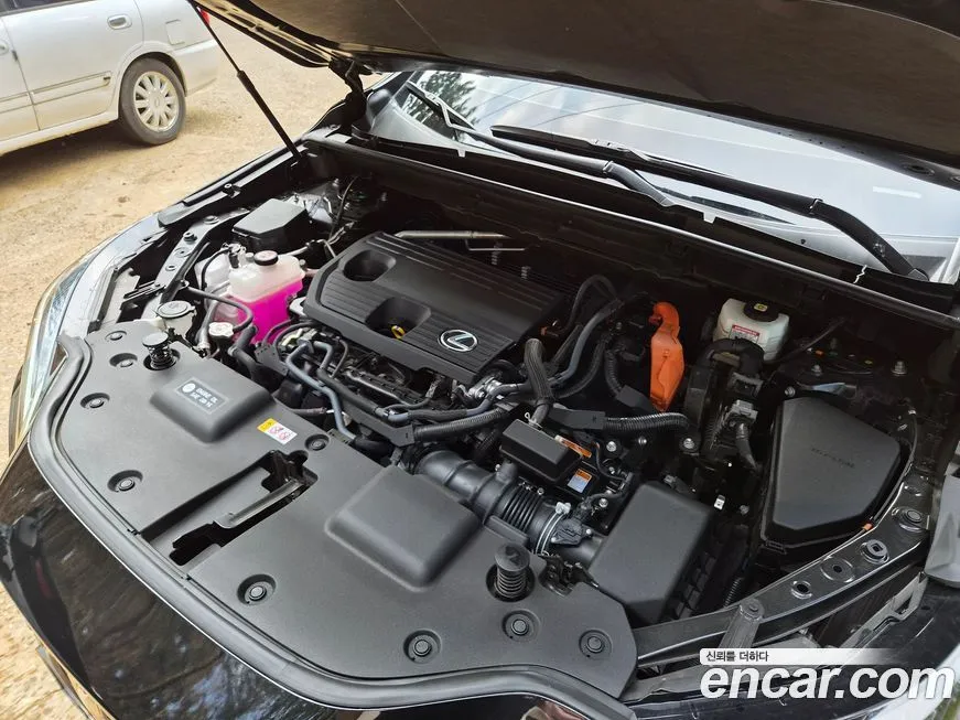 Lexus NX 2025 из KR, фото 9