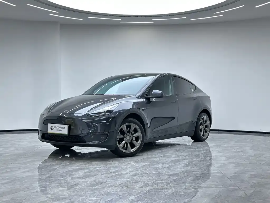 Tesla Model Y 2024 из CN, фото 1