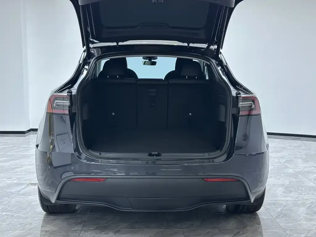 Tesla Model Y 2024 из CN, фото 4