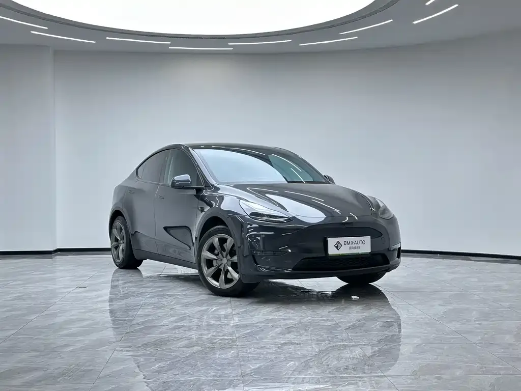 Tesla Model Y 2024 из CN, фото 9