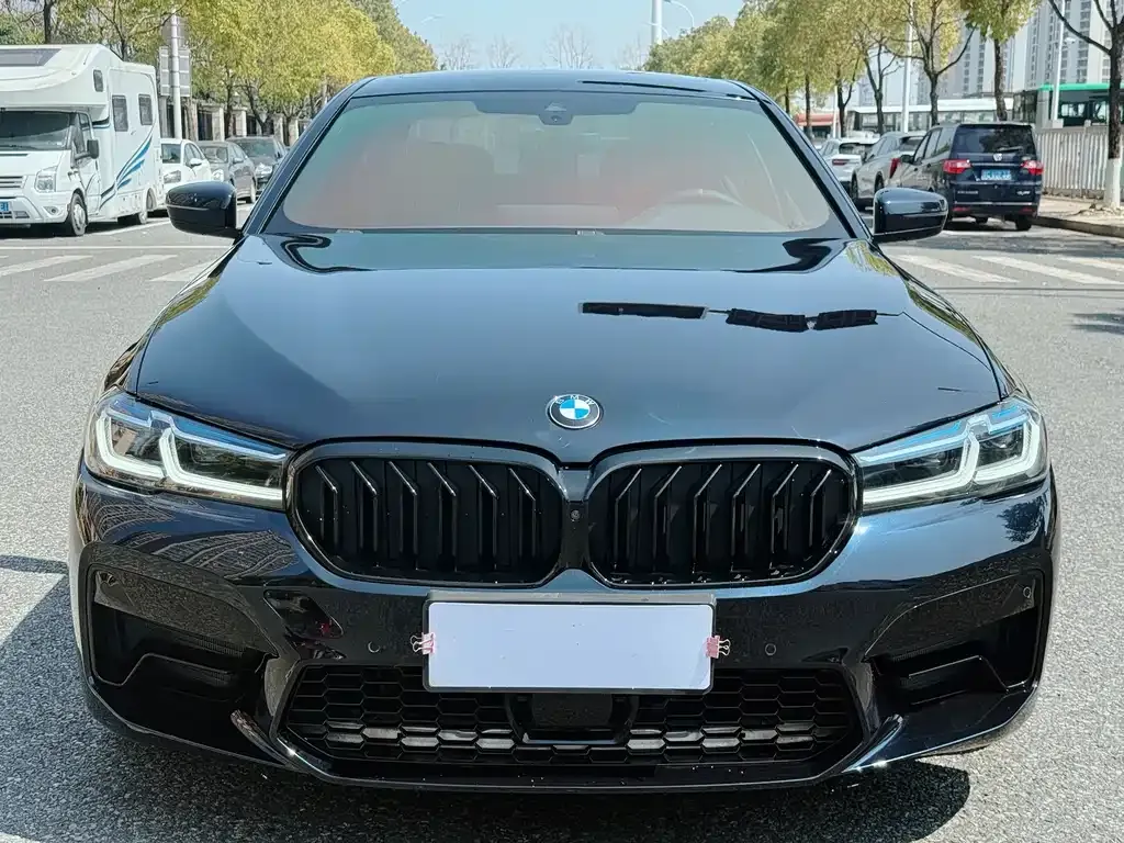 BMW 5 Series 2022 из CN, фото 7