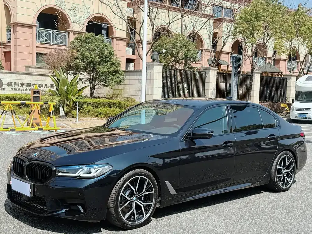 BMW 5 Series 2022 из CN, фото 9