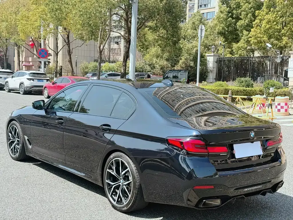 BMW 5 Series 2022 из CN, фото 10