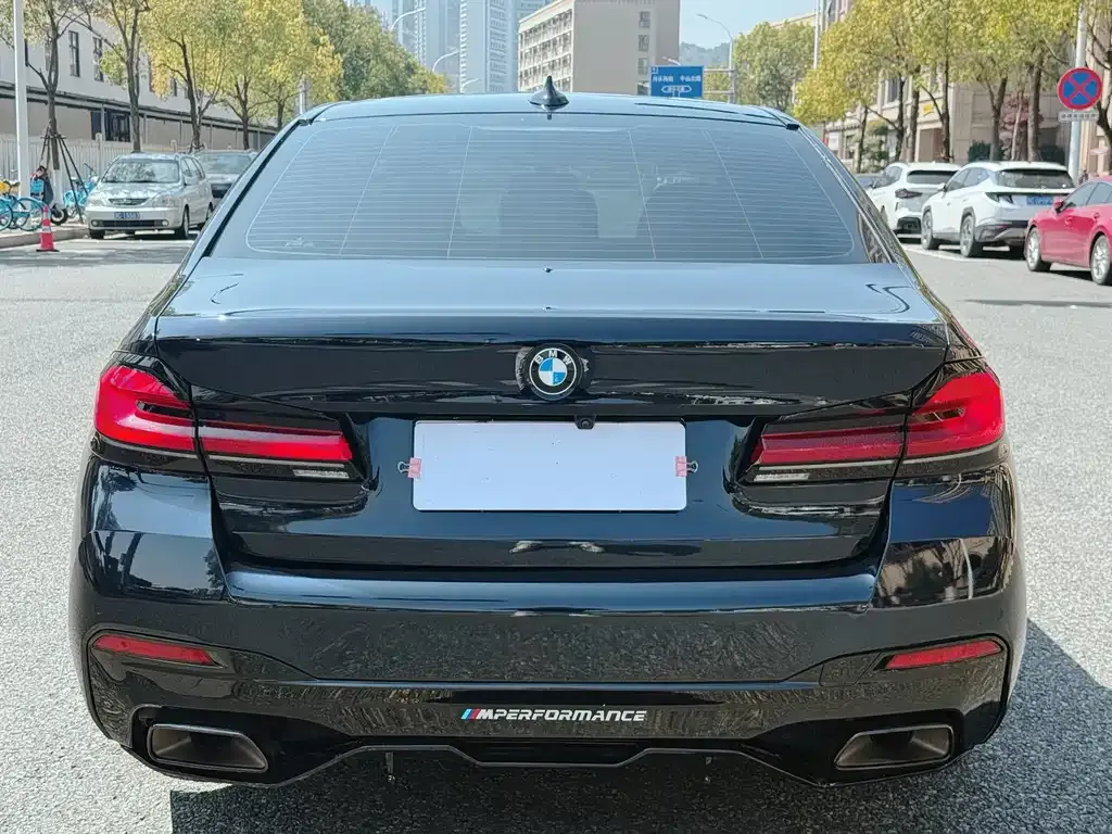 BMW 5 Series 2022 из CN, фото 4