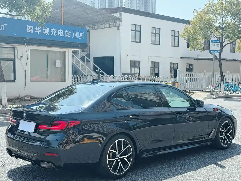 BMW 5 Series 2022 из CN, фото 8