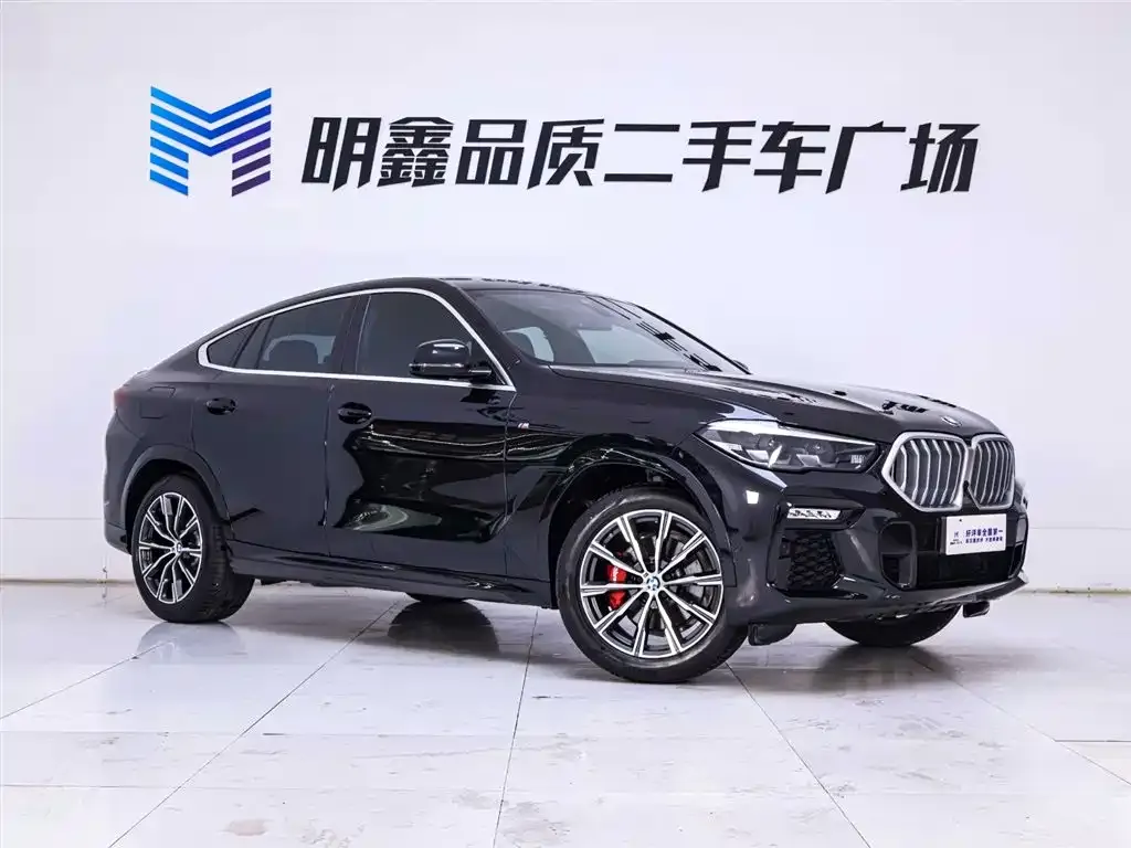 BMW X6 2021 из CN, фото 5
