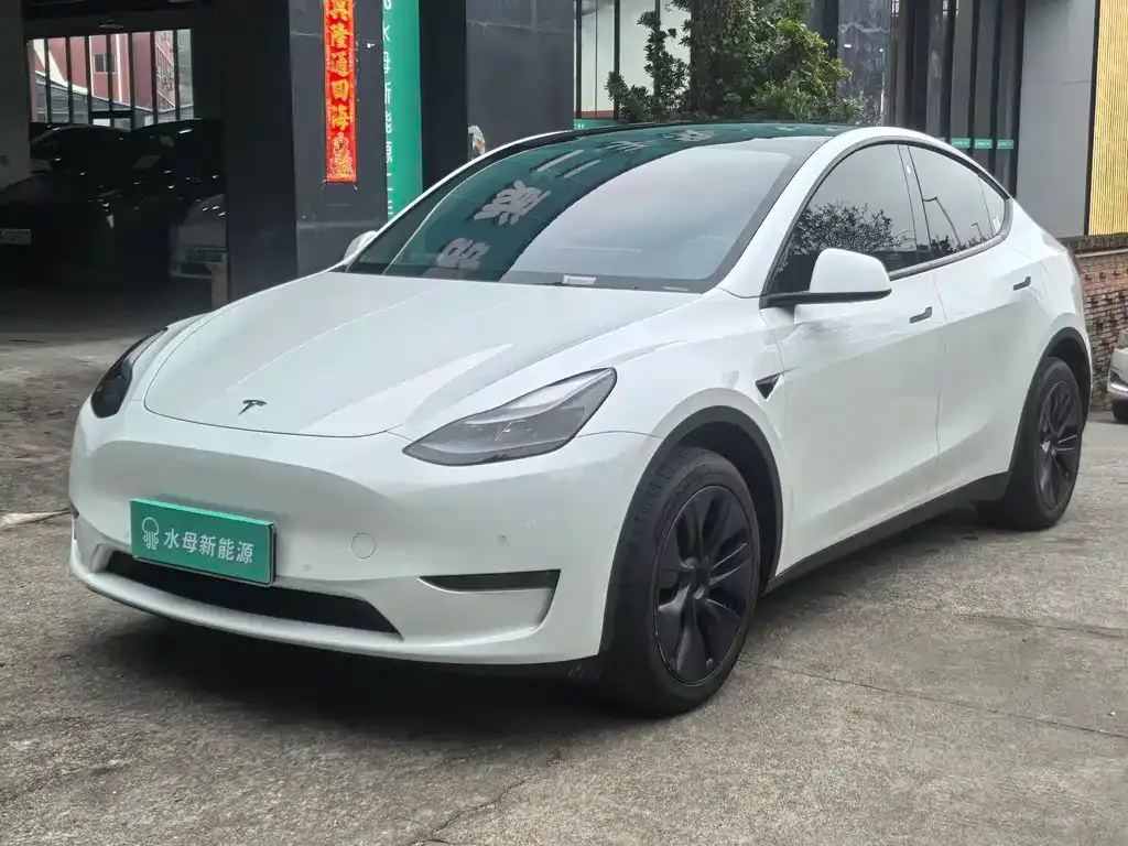 Tesla Model Y — фото 1