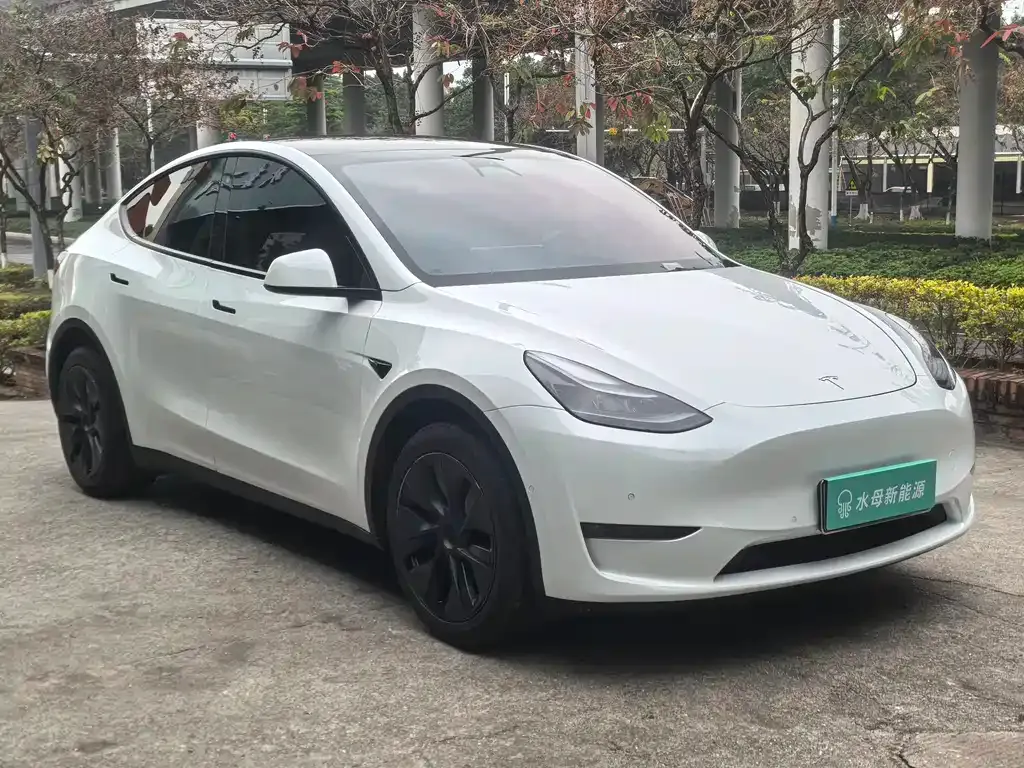 Tesla Model Y — фото 8
