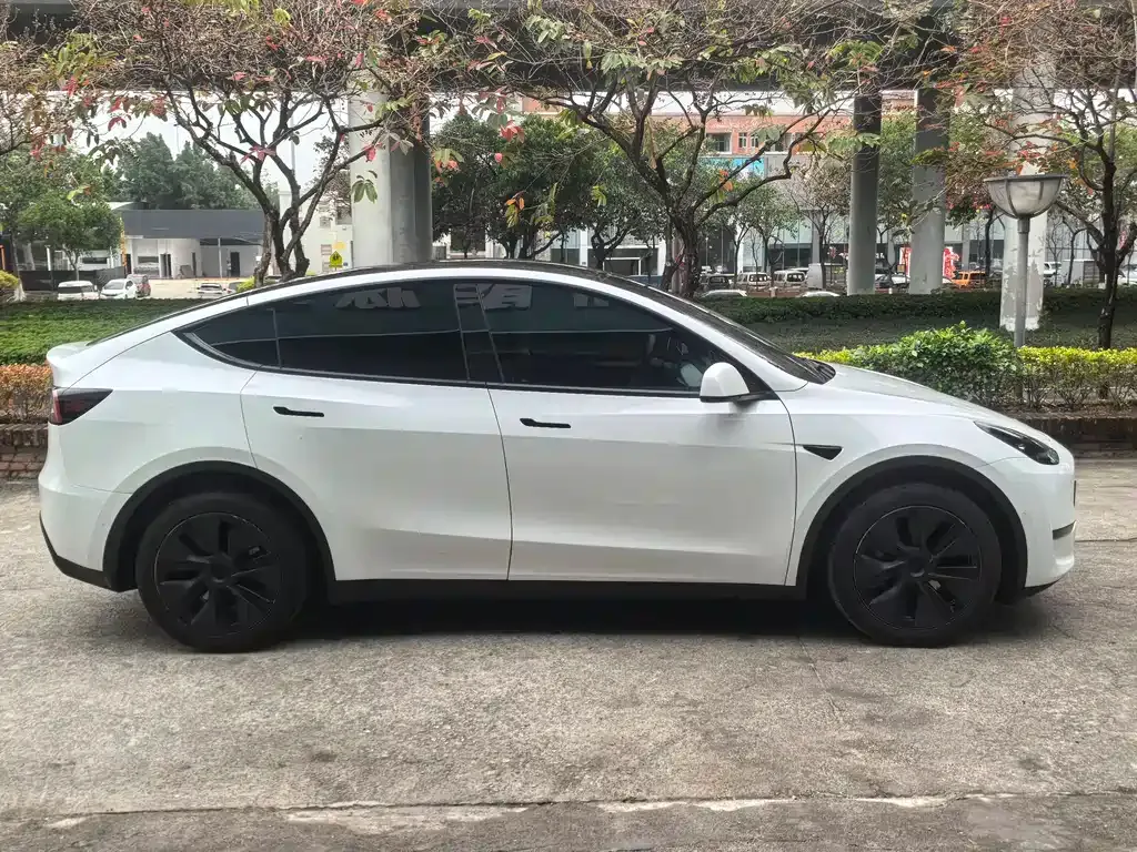 Tesla Model Y — фото 9