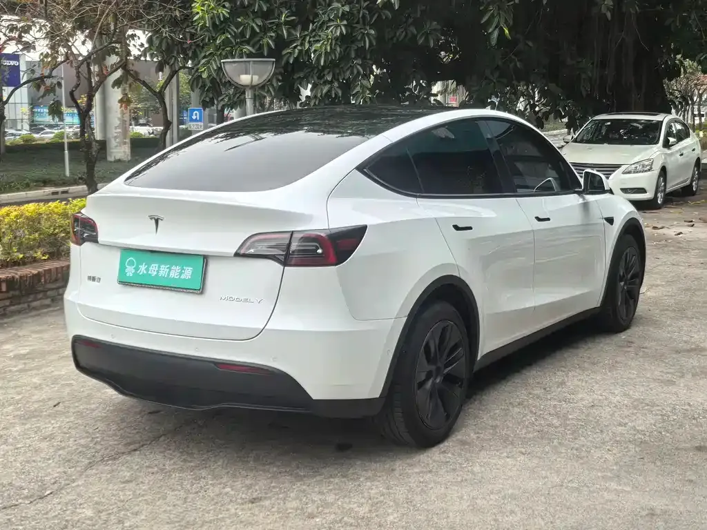 Tesla Model Y — фото 10