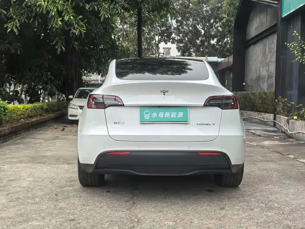 Tesla Model Y — фото 6