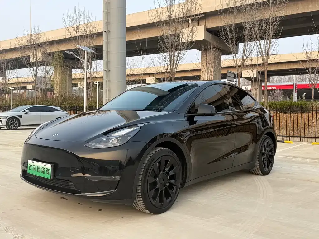 Tesla Model Y — фото 2