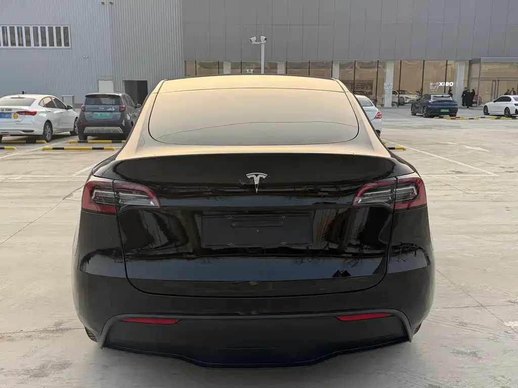 Tesla Model Y — фото 3