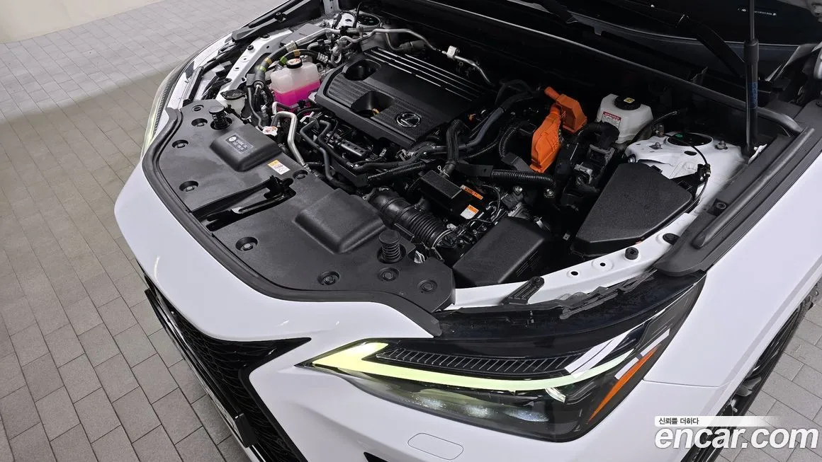 Lexus NX 2023 из KR, фото 9