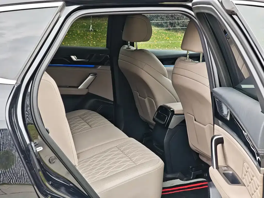 BYD Tang New Energy 2024 из CN, фото 5