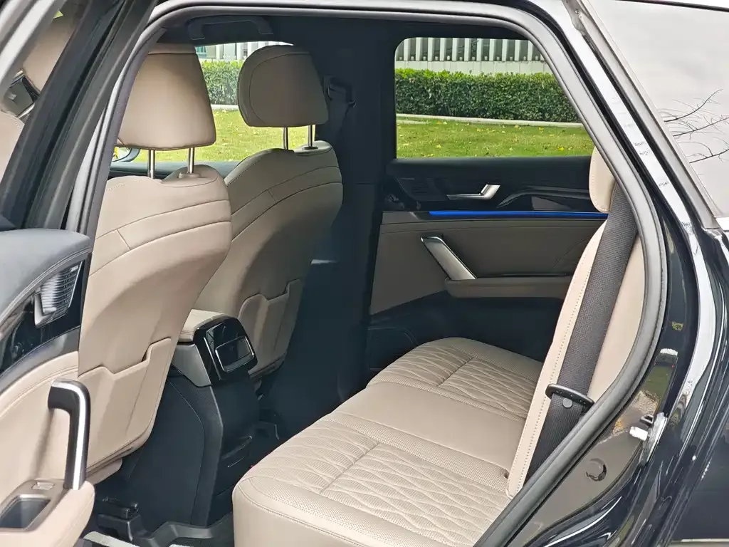BYD Tang New Energy 2024 из CN, фото 3
