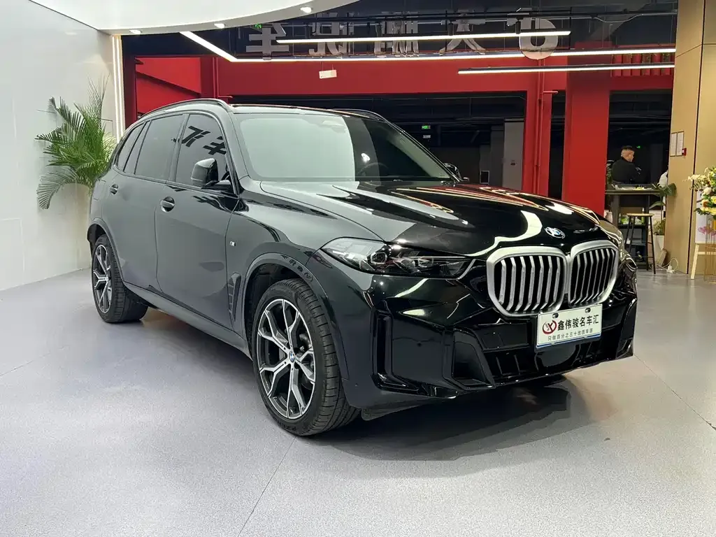 BMW X5 — фото 9