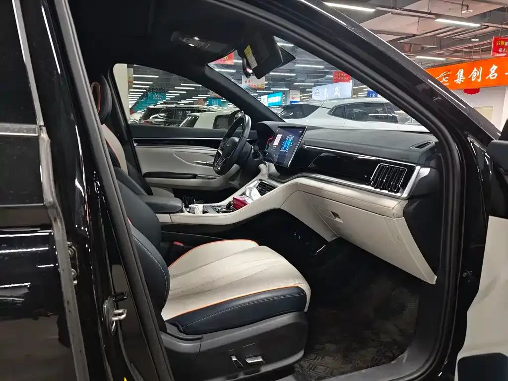 BYD PLUS 2023 из CN, фото 10