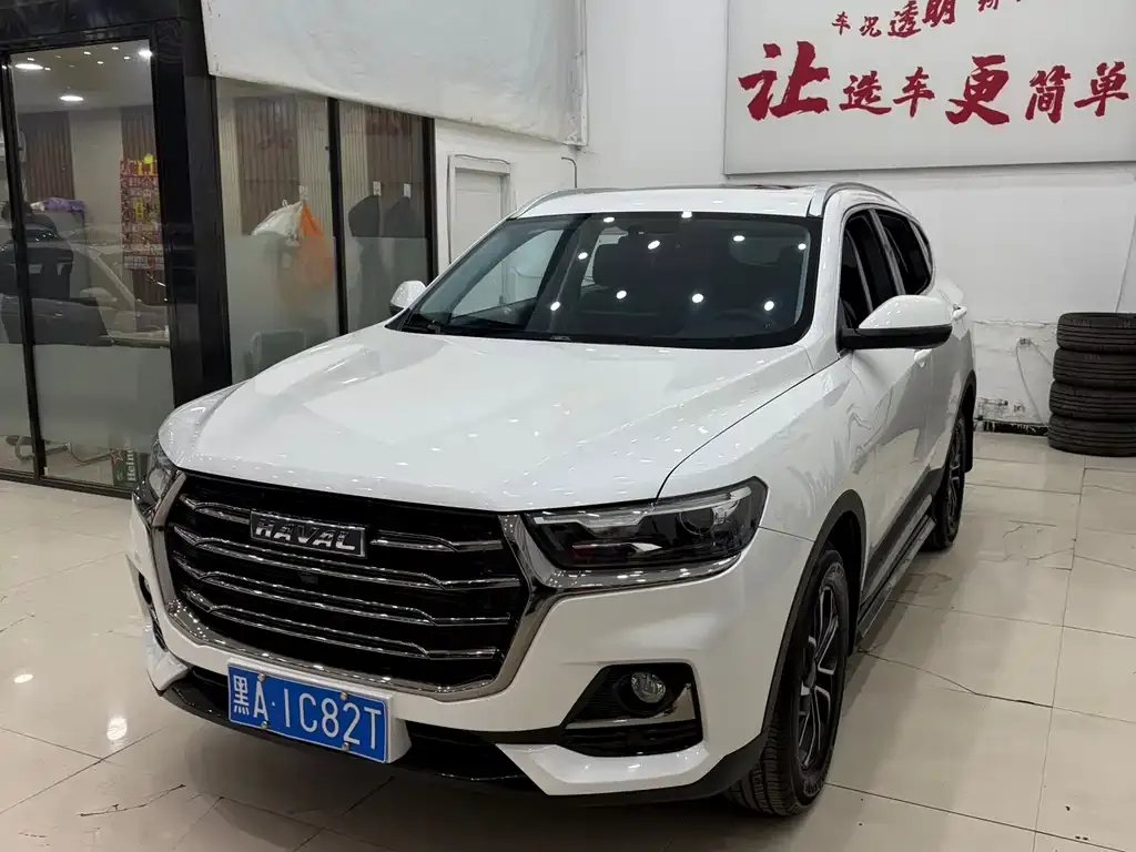 Haval H6 2023 из CN, фото 10