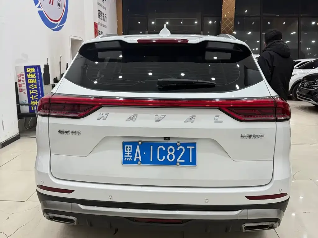 Haval H6 2023 из CN, фото 7