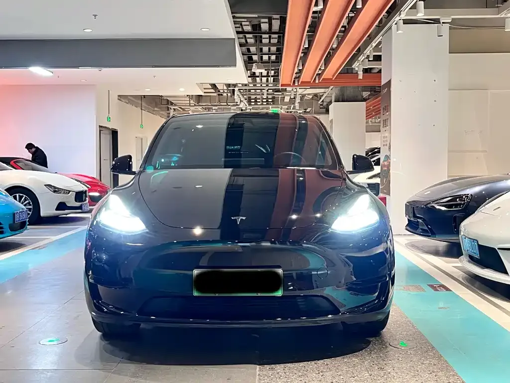 Tesla Model Y — фото 3