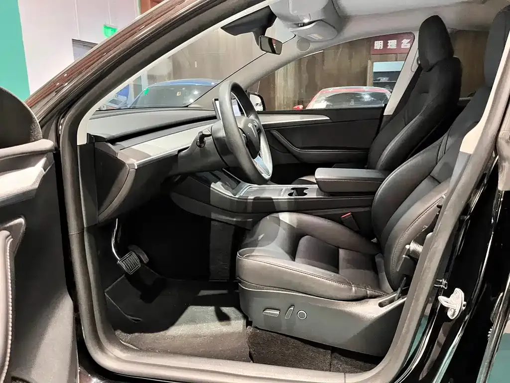 Tesla Model Y — фото 9